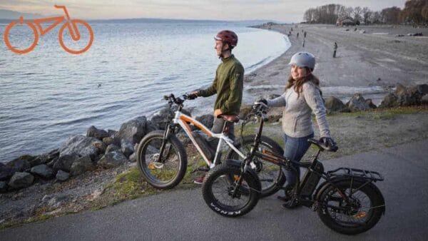 Rad Power Bikes 2019