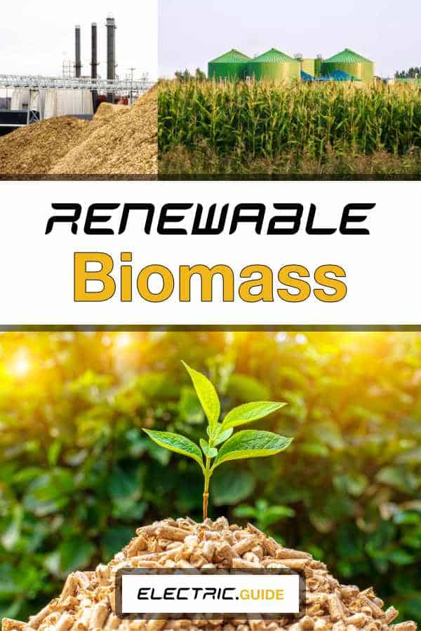 What Is Biomass Power?