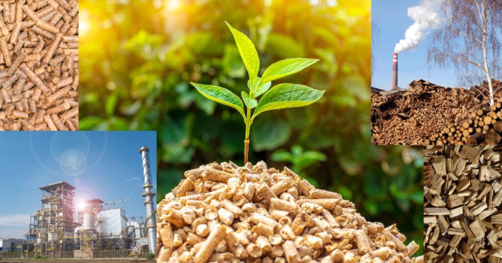 Biomass Power