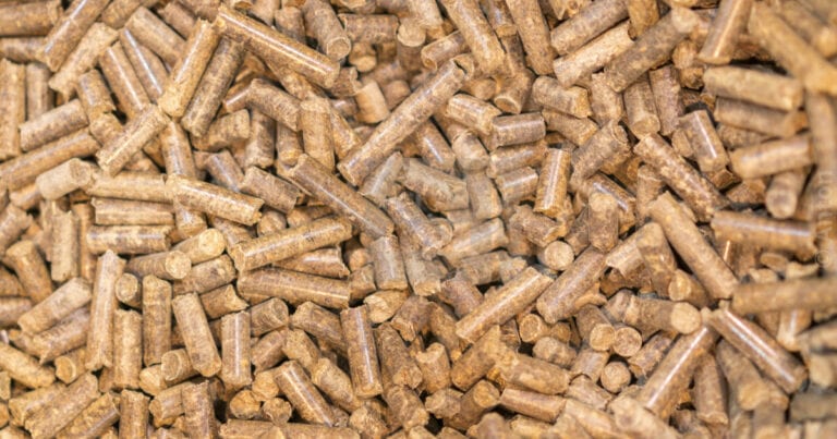 Enviva Initiates Construction on New Epes Biomass Plant, Alabama ...