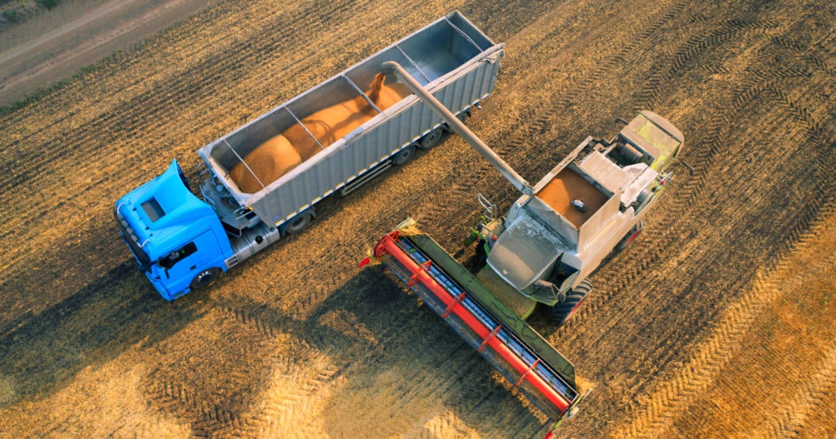 Types of Biomass: A Detailed Look 9 Transporting Biomass