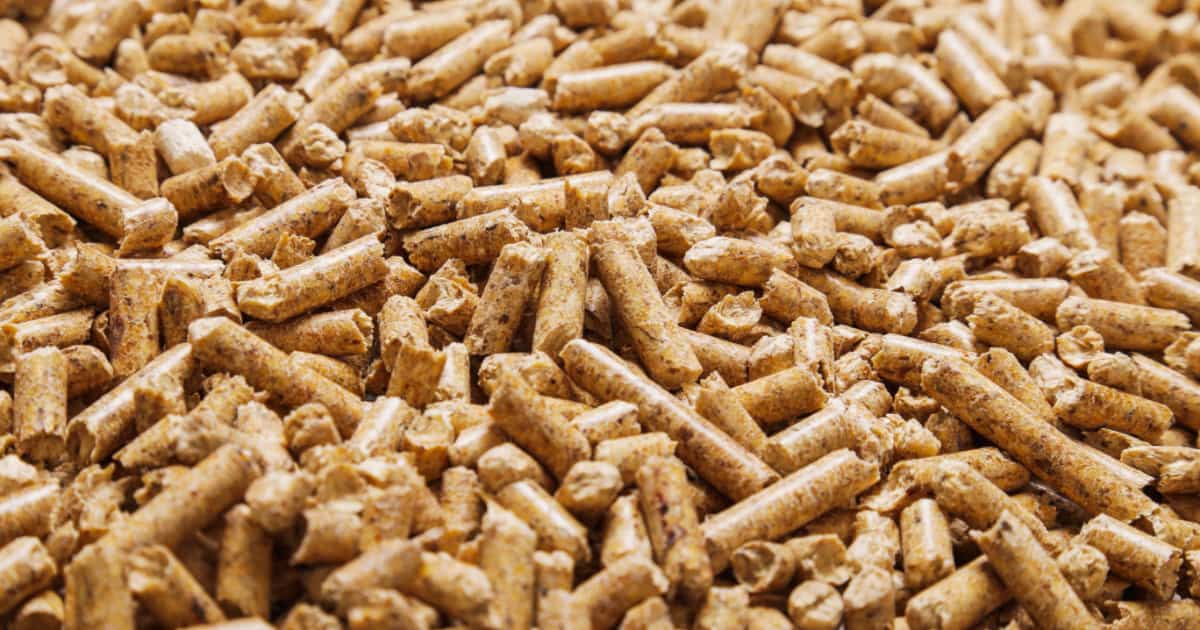 Types of Biomass: A Detailed Look 2 Biomass Wood Pellets