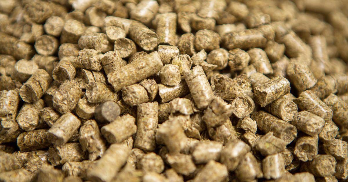 Prairie Clean Energy Secures $1.1M For Flax Straw Pellet Biomass Project 2 Flax Straw Pellets Biomass