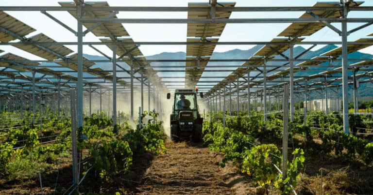 Sun'Agri Agrivoltaics Vineyard